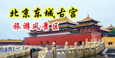 骚逼P中国北京-东城古宫旅游风景区